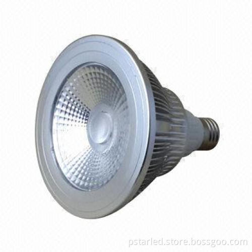 PAR38 COB Spotlight with 12W Epistar COB LED Australia C-tick